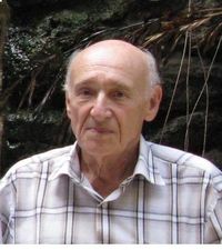 Vladimir Valerstein